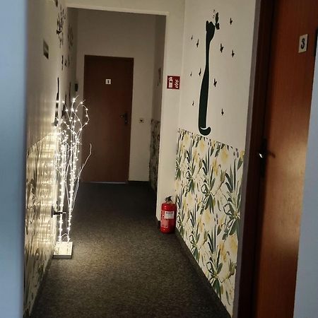 Green Cat Rooms クラクフ エクステリア 写真