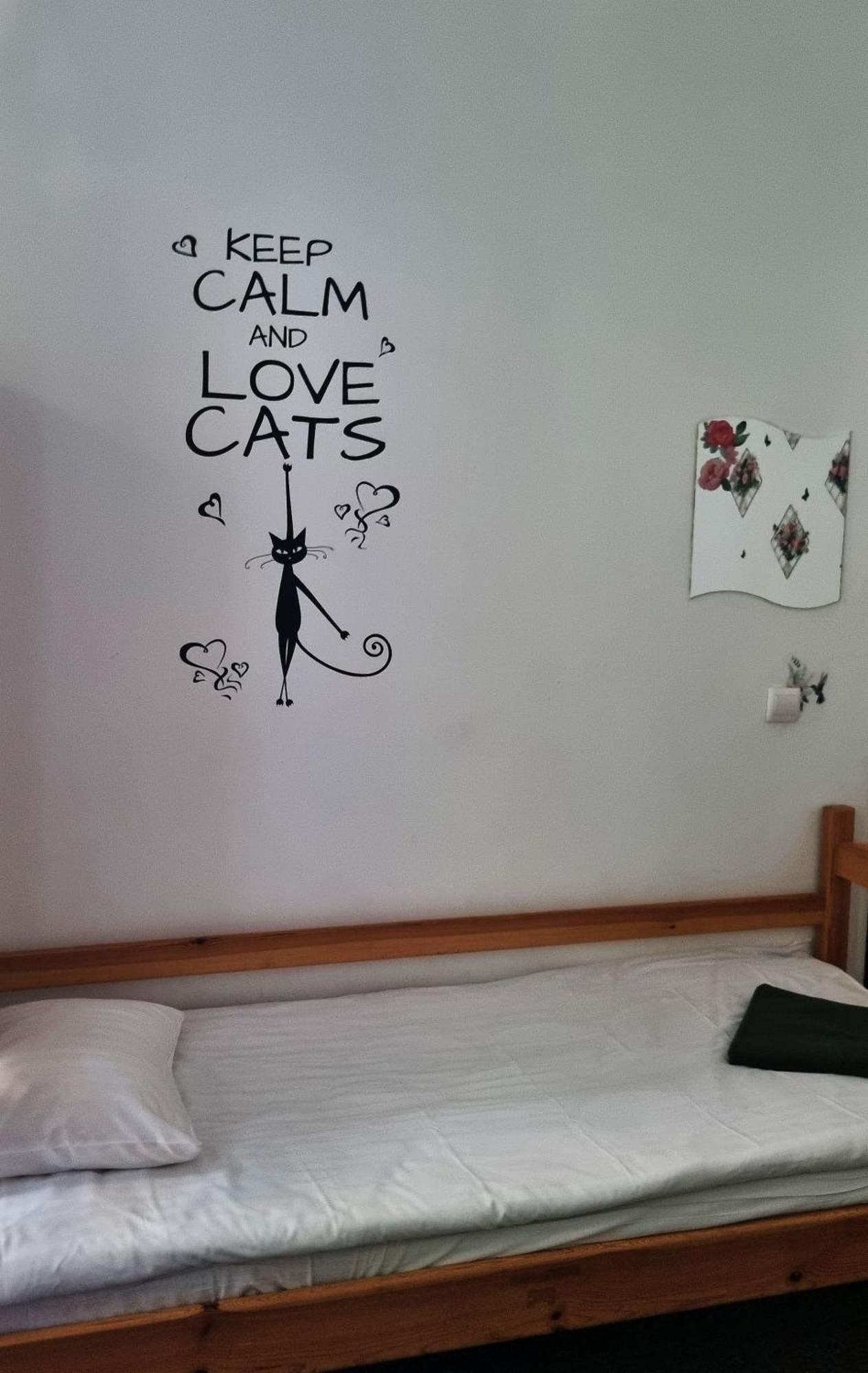 Green Cat Rooms クラクフ エクステリア 写真
