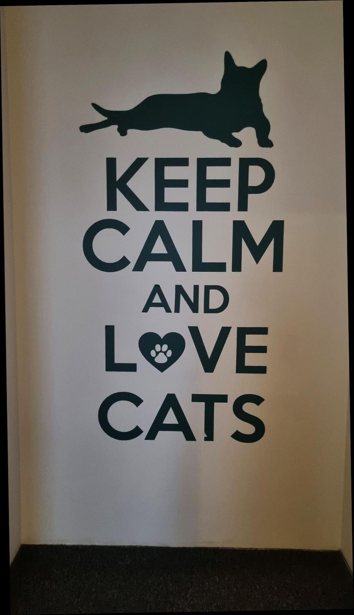 Green Cat Rooms クラクフ エクステリア 写真