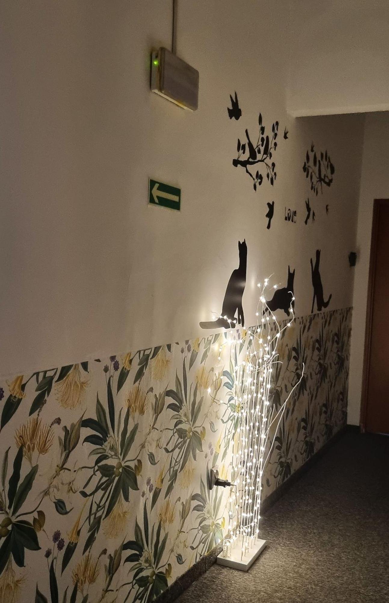 Green Cat Rooms クラクフ エクステリア 写真