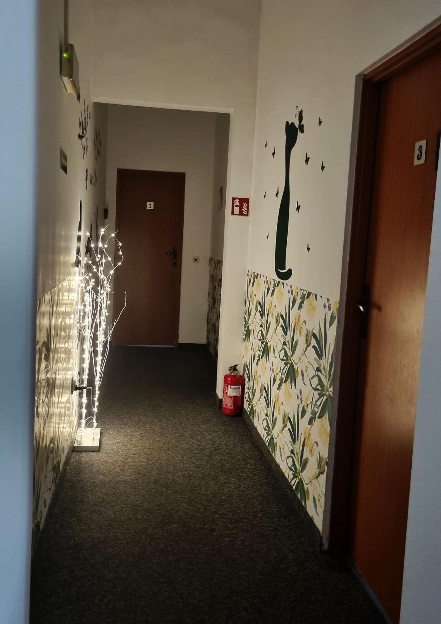 Green Cat Rooms クラクフ エクステリア 写真